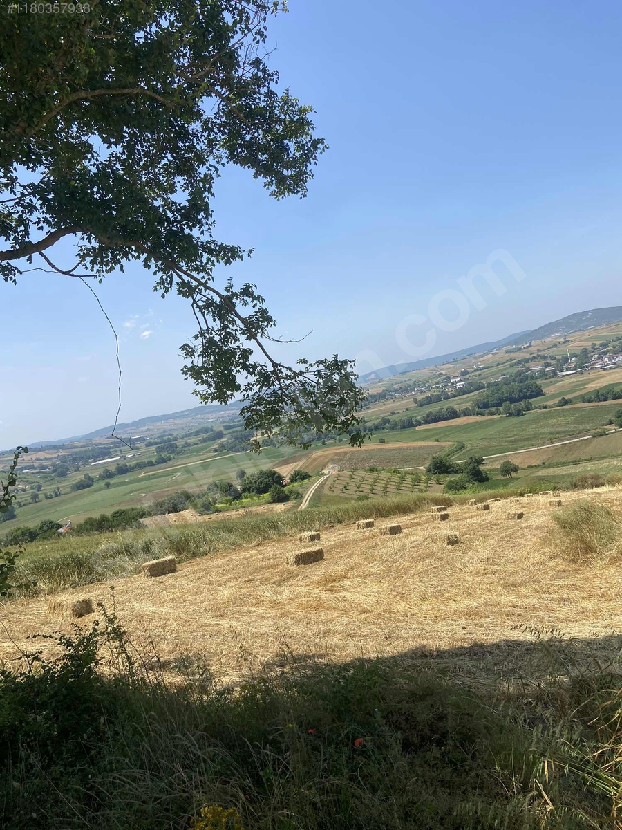 SAHİBİNDEN UYGUN HEM YATIRIM HEM TİCARİ ARSA BURADA TEK 5.613m2 - KOCAELİ DERİNCE fotoğraf 9